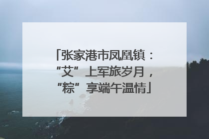 张家港市凤凰镇：“艾”上军旅岁月，“粽”享端午温情